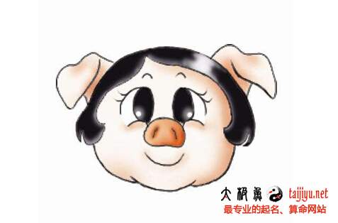 2019豬年響亮大氣的男寶寶名字大全:男孩篇