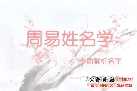 2018狗年寶寶幾月出生好?
