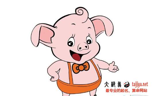 豬寶寶取名大全,豬年生人起名大全