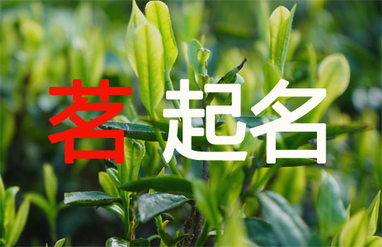 屬兔女孩用“茗”字起名字大全