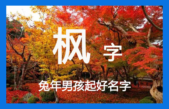兔年帶楓字的男孩名字