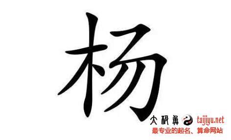 2020鼠年楊姓寶寶起名名字大全