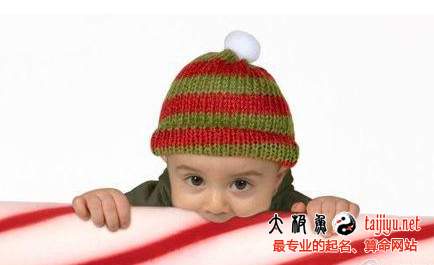2015屬鼠的今年運勢