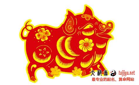 2019年屬豬的寶寶幾月出生最好?豬年生寶寶運勢