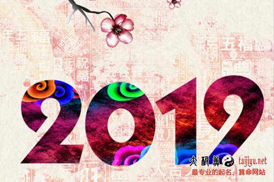 2019豬年寶寶起名宜用字,屬豬孩子起名宜忌