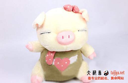 豬年新生寶寶起名大全(帶小名大全)