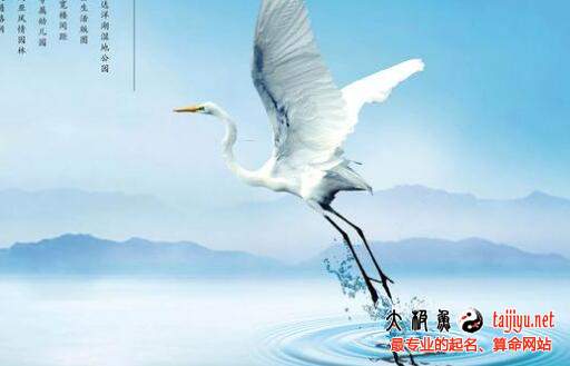 廣告設(shè)計公司起名,廣告策劃公司該如何起名