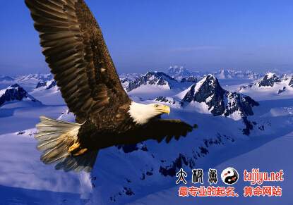 新版公司起名禁忌大全