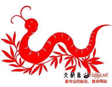 屬蛇的人2015年運(yùn)勢(shì)_屬蛇人2015羊年運(yùn)程分析