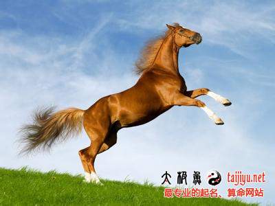 屬馬的人2015年運(yùn)勢(shì)_屬馬人2015羊年運(yùn)程分析