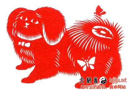 屬狗的人2015年運(yùn)勢(shì)_屬狗人2015羊年運(yùn)程破解