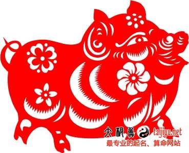 屬豬的人2015年運(yùn)勢(shì)_屬豬人2015羊年運(yùn)程破解