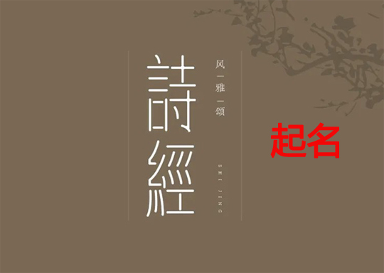 用《詩經》給女孩起名絕美的名字有哪些?