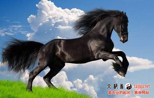2016年屬馬人的運勢