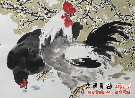 2016年屬雞人的運(yùn)勢(shì)