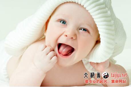 屬豬劉姓男寶寶名字,2019豬年姓劉男孩起名大全