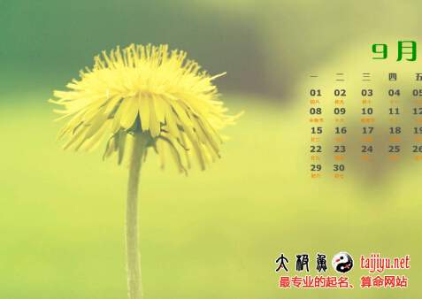 2019豬年9月/九月出生的屬豬寶寶起名字大全