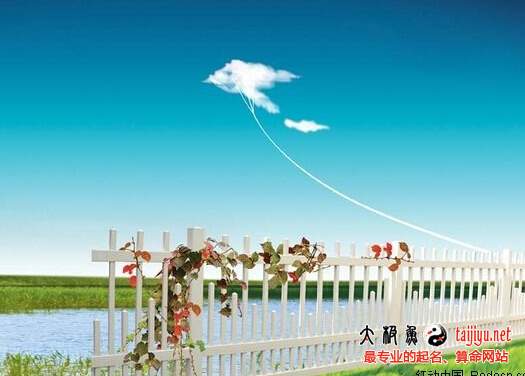 公司起名