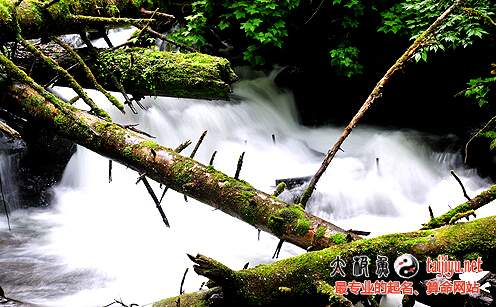 八字喜用神為“木”,“水”的名字大全