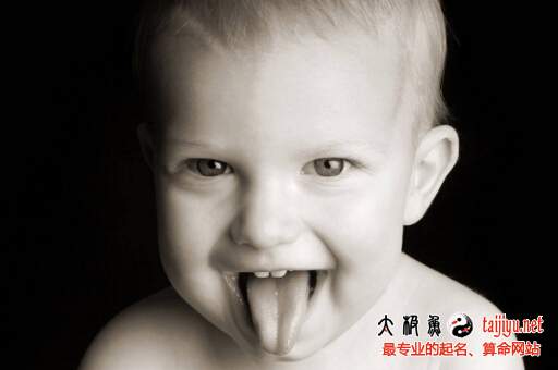 可愛(ài)狗寶寶起名