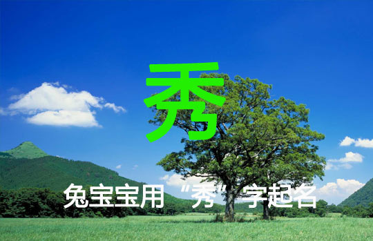 兔寶寶取名帶“秀”字的名字大全