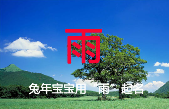 兔年帶“雨”字的名字大全