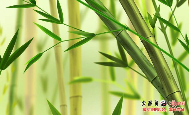 羊寶寶五行喜木的起名技巧