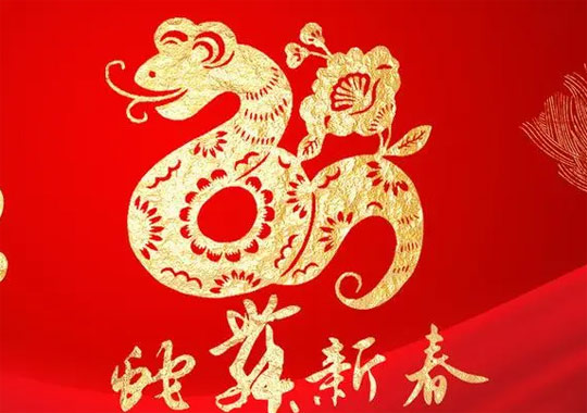 2025屬蛇寶寶起名宜用字全集