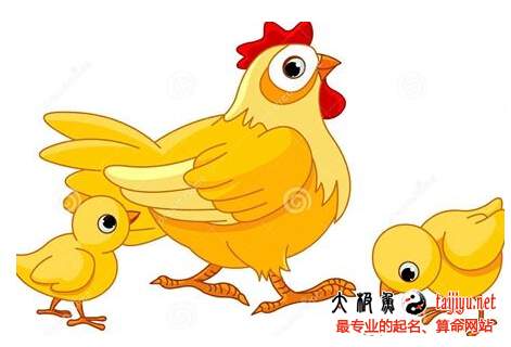 屬雞的人2017雞年運(yùn)勢(shì)如何