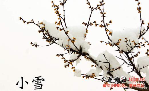 二十四節氣之小雪節氣