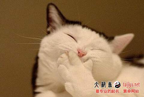 夢(mèng)見聲音的解釋