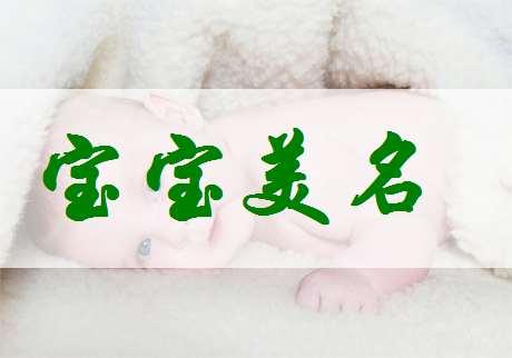 寶寶起名大全