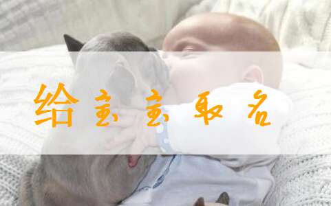 敖姓寶寶起名大全