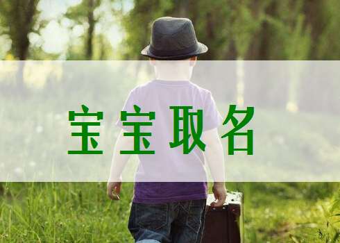 蘆姓寶寶起名大全
