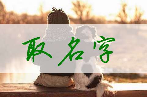 丁姓寶寶起名大全