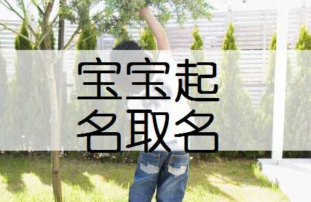 寶寶起名大全