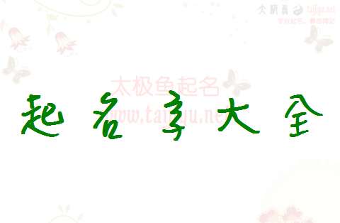 稅姓寶寶起名大全