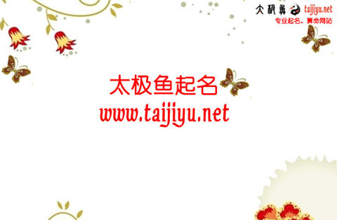 寶寶起名