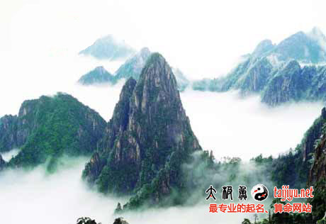 公司起名
