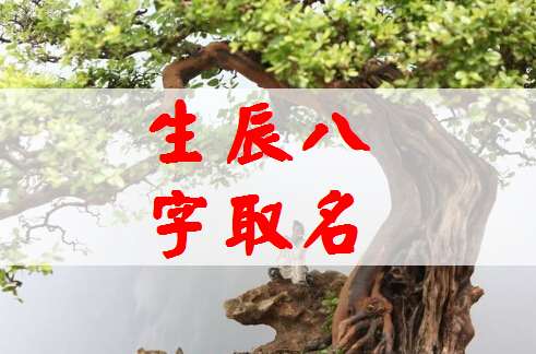 郎姓寶寶八字起名大全