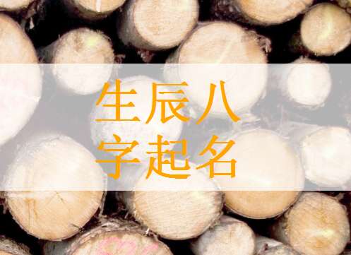 文姓寶寶八字起名大全