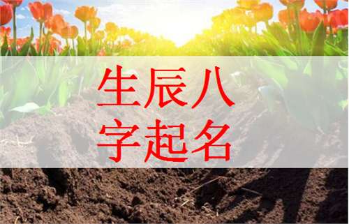 姓蘇寶寶八字起名大全