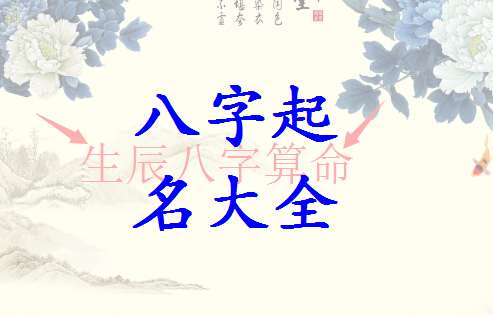 姓雷寶寶八字起名大全