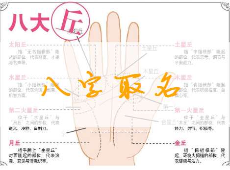 武姓寶寶八字起名大全