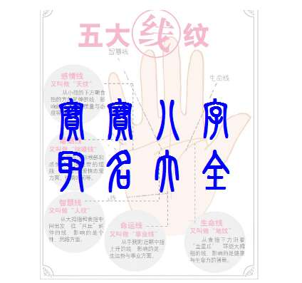 姓白寶寶八字起名大全