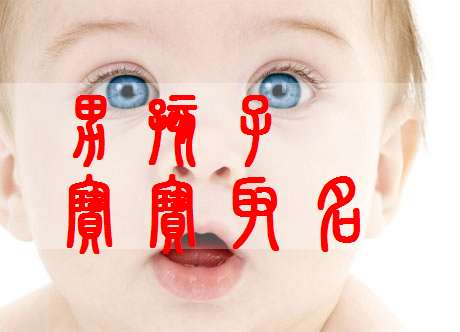 寶寶起名大全