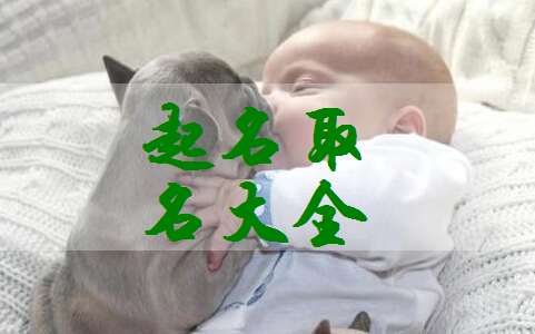 蘆姓寶寶起名大全