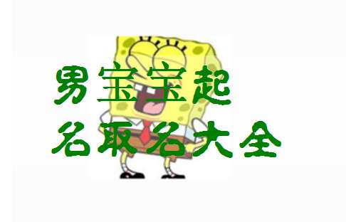 何姓寶寶起名大全