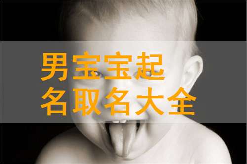 艾姓寶寶起名大全