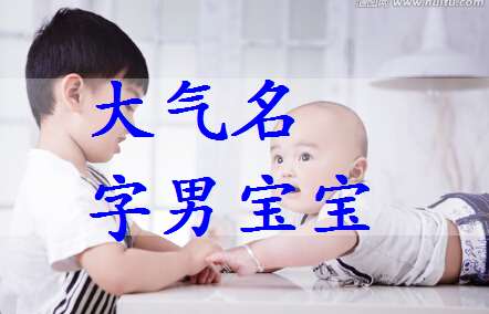 姓雷寶寶起名大全
